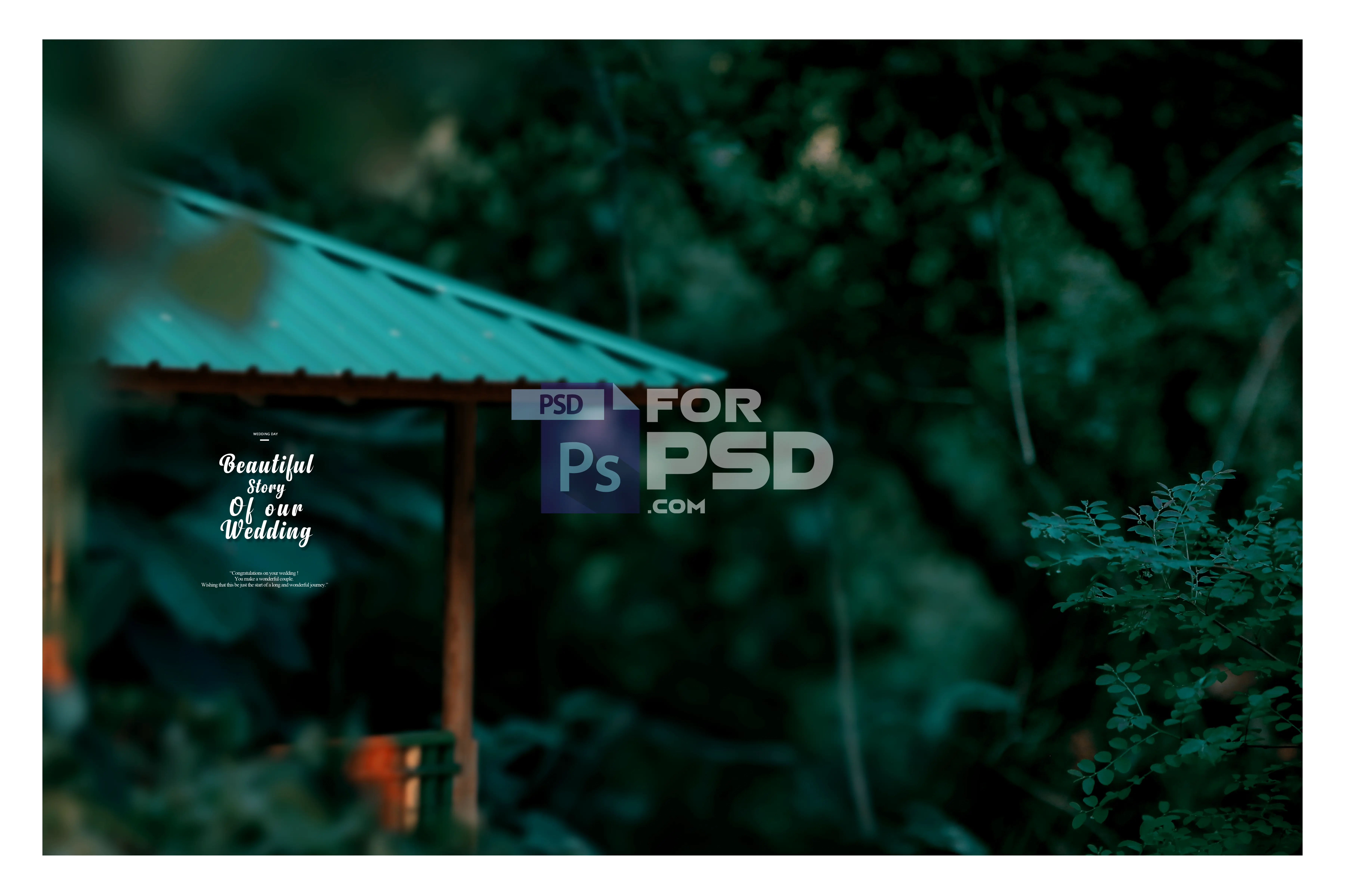 Image Preview